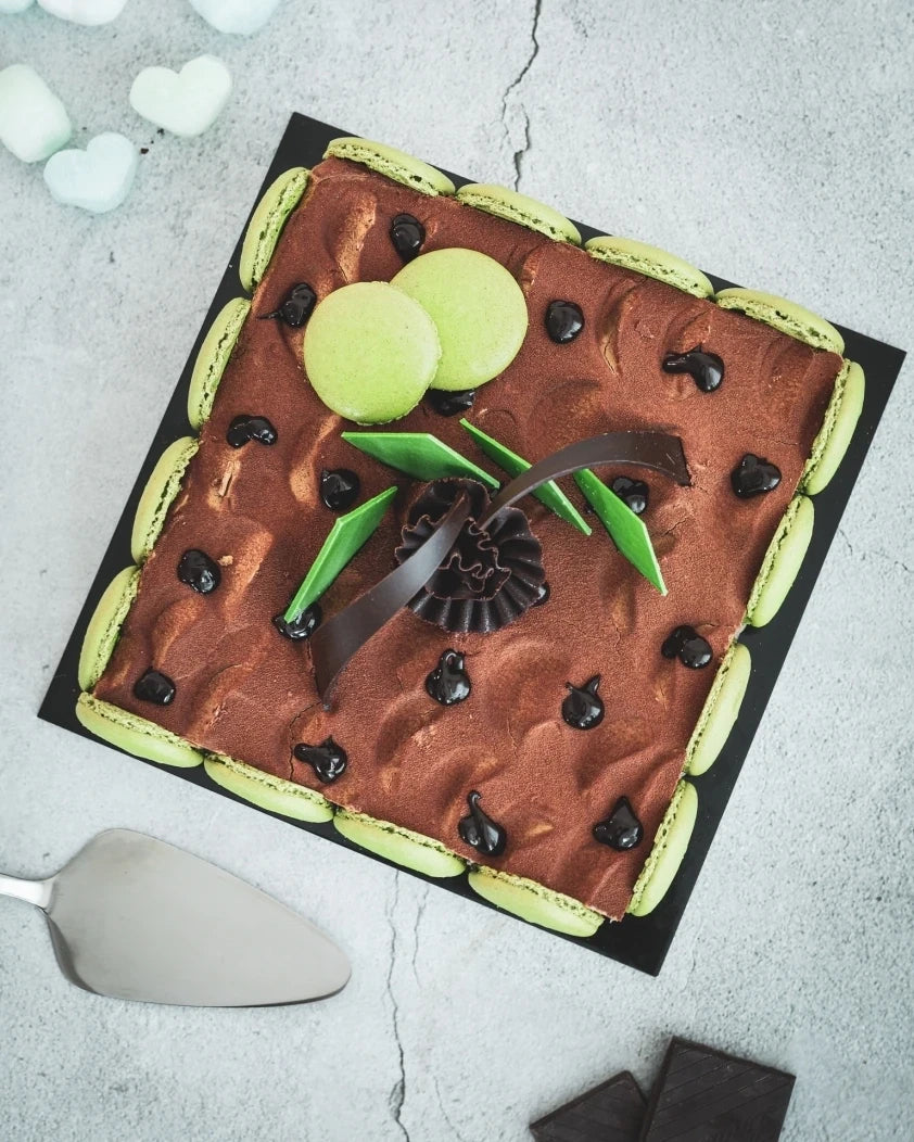 Chocolate Pistachio